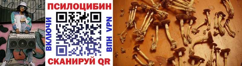 Купить где  Нерехта  Псилоцибиновые грибы прущие грибы 